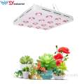 WENYI Best Quality Full Spectrum Grow Lights 640W